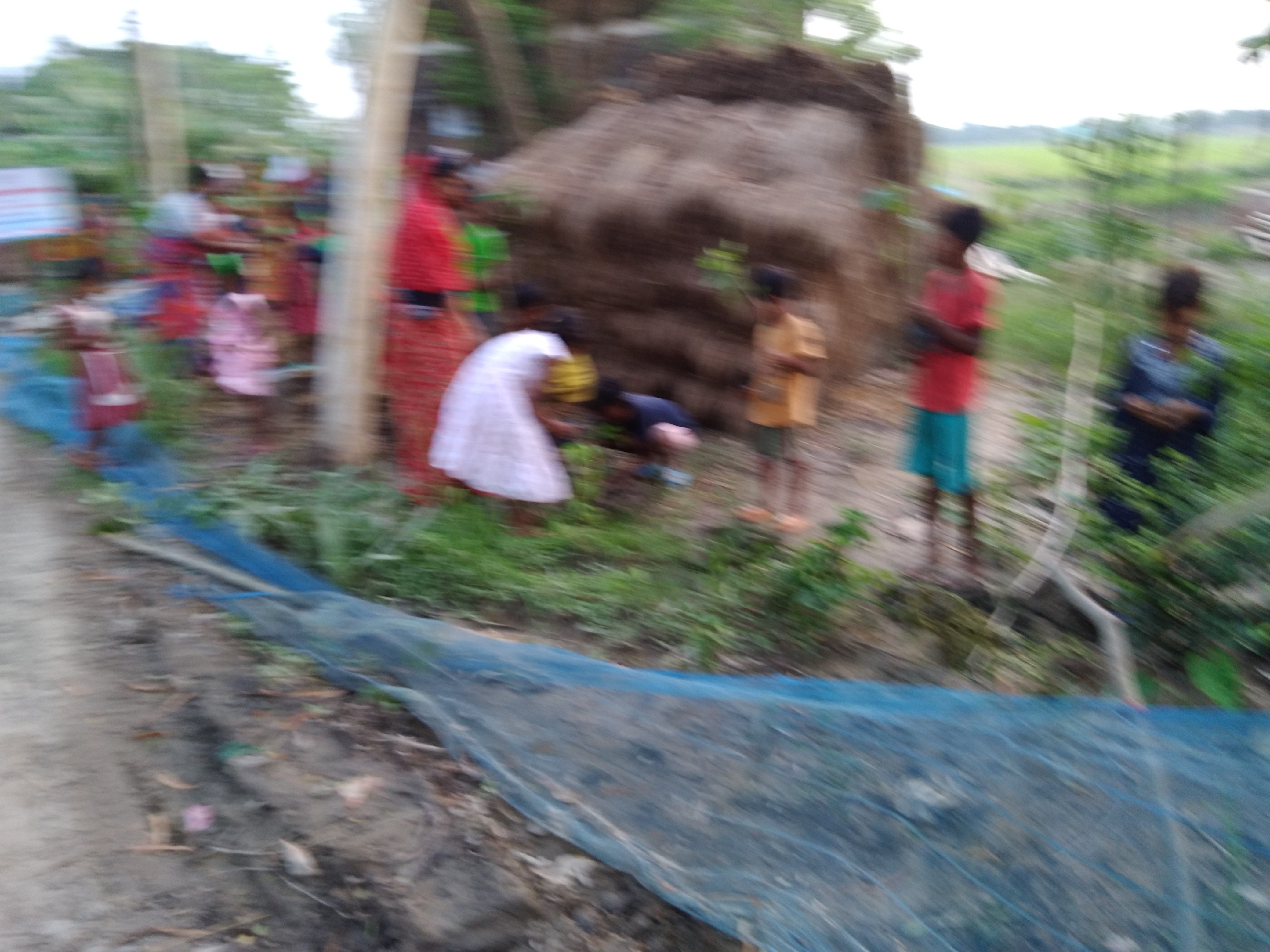 Baradanagar Mkss 2025 Supported By Kaninika Banerjee