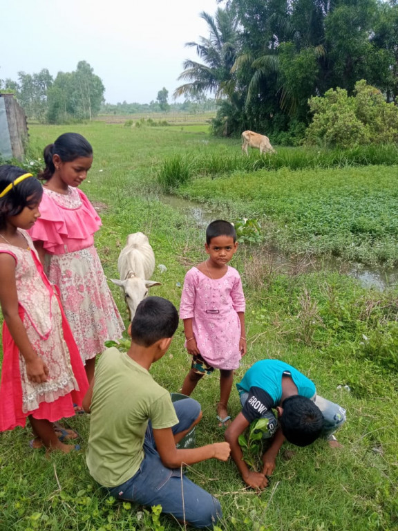 Damkal No 1 Chatterjeepara Mkss  And Nagendrapur Mkss 2025 Supported By Let's Do Some Good Foundation