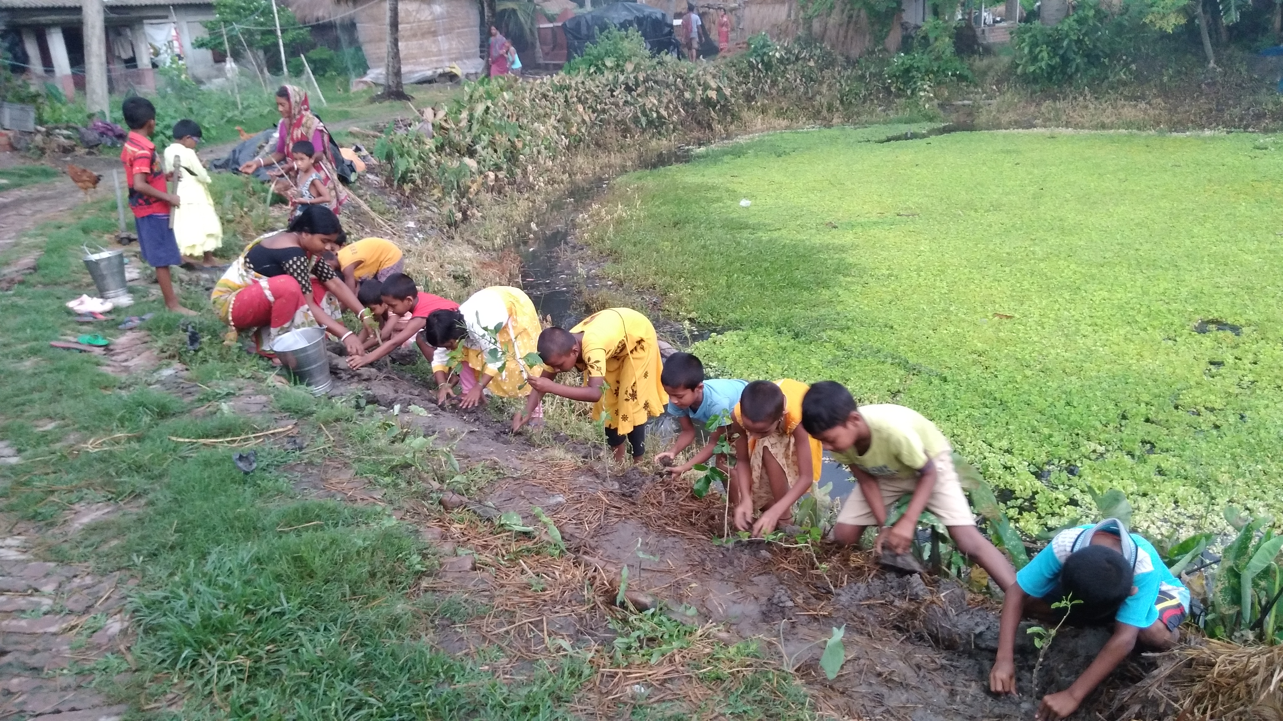 Damkal No 1 Chatterjeepara Mkss 2025 Supported By Let's Do Some Good Foundation