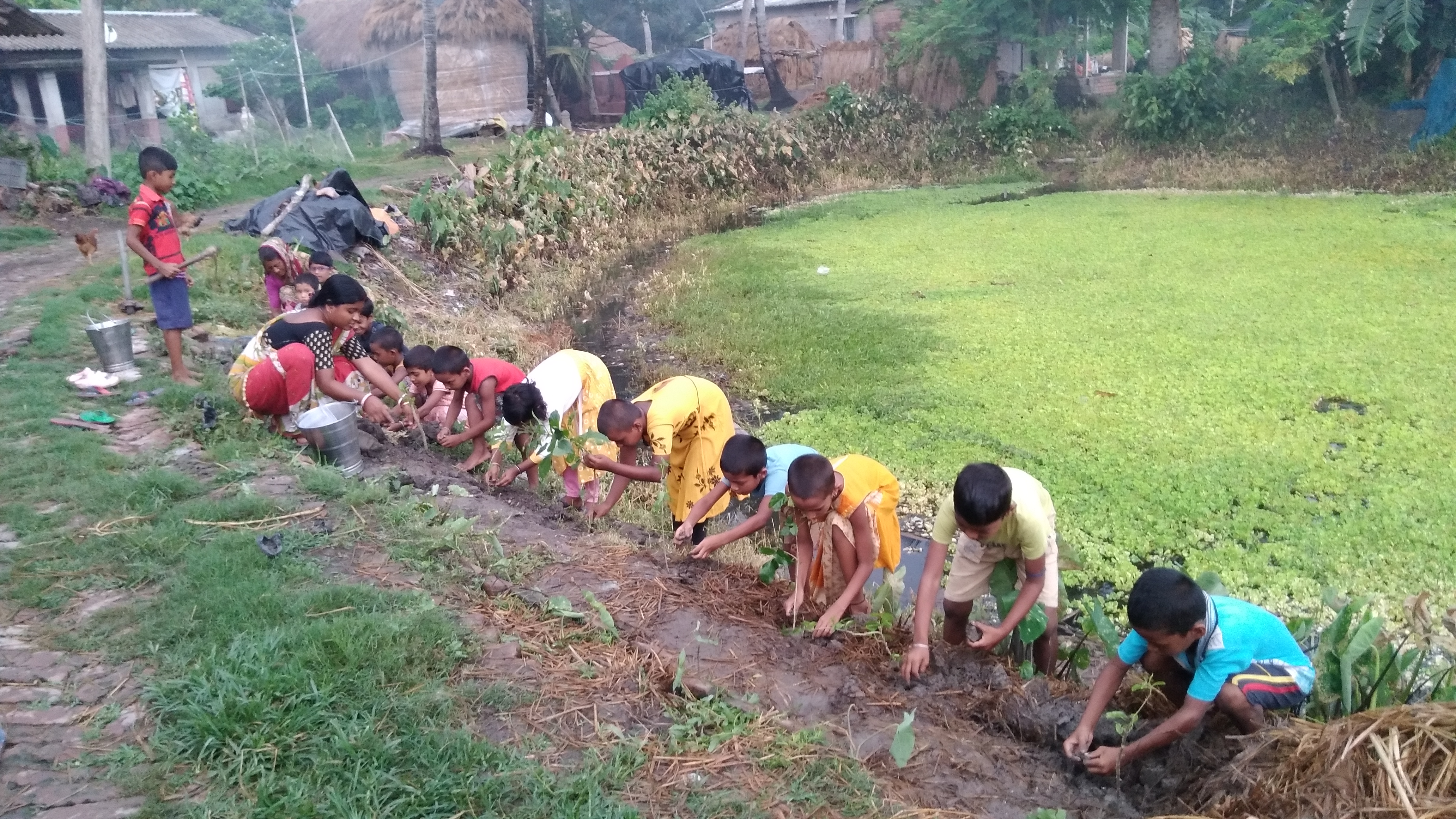 Damkal No 1 Chatterjeepara Mkss 2025 Supported By Let's Do Some Good Foundation