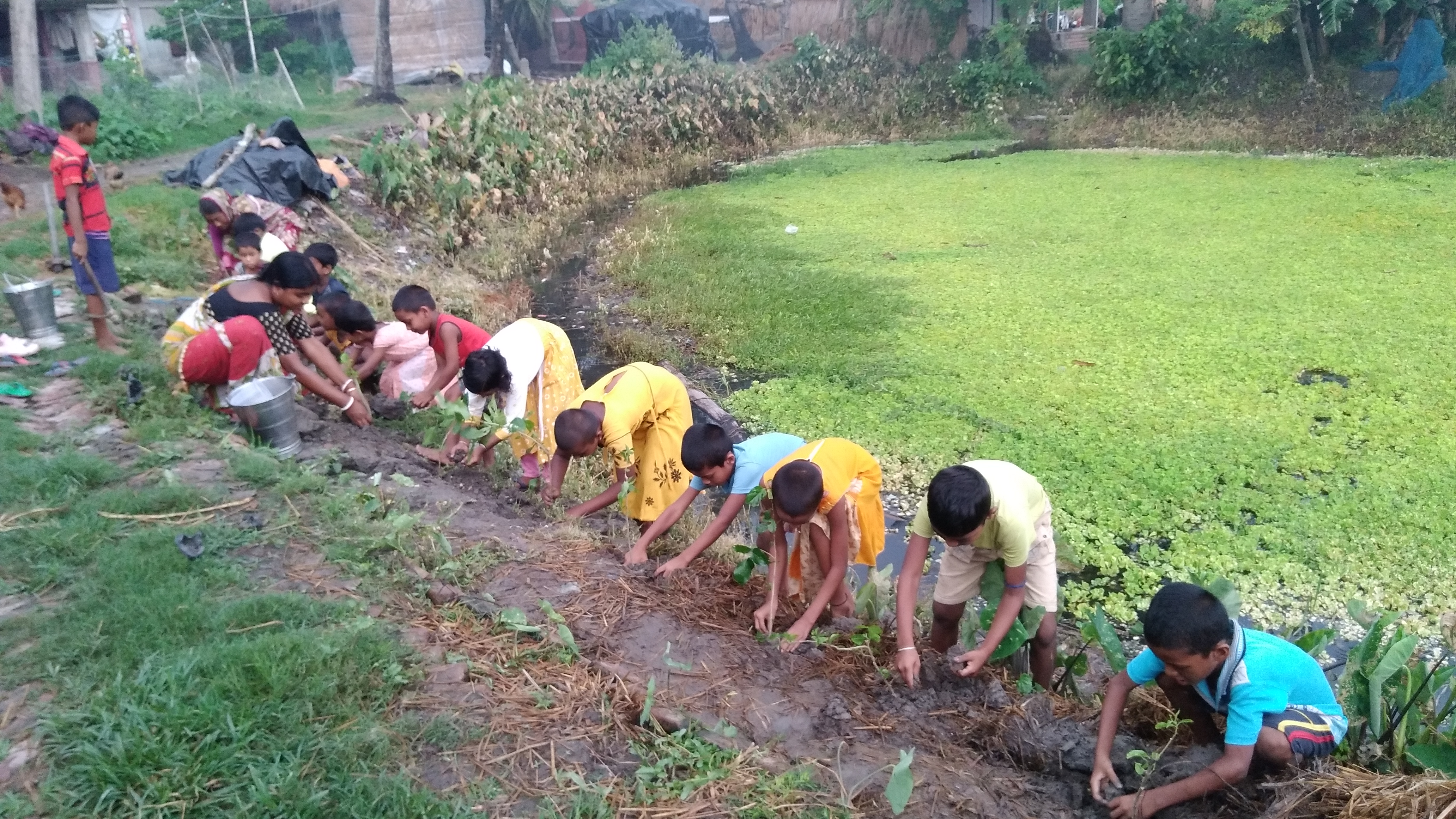 Damkal No 1 Chatterjeepara Mkss 2025 Supported By Let's Do Some Good Foundation