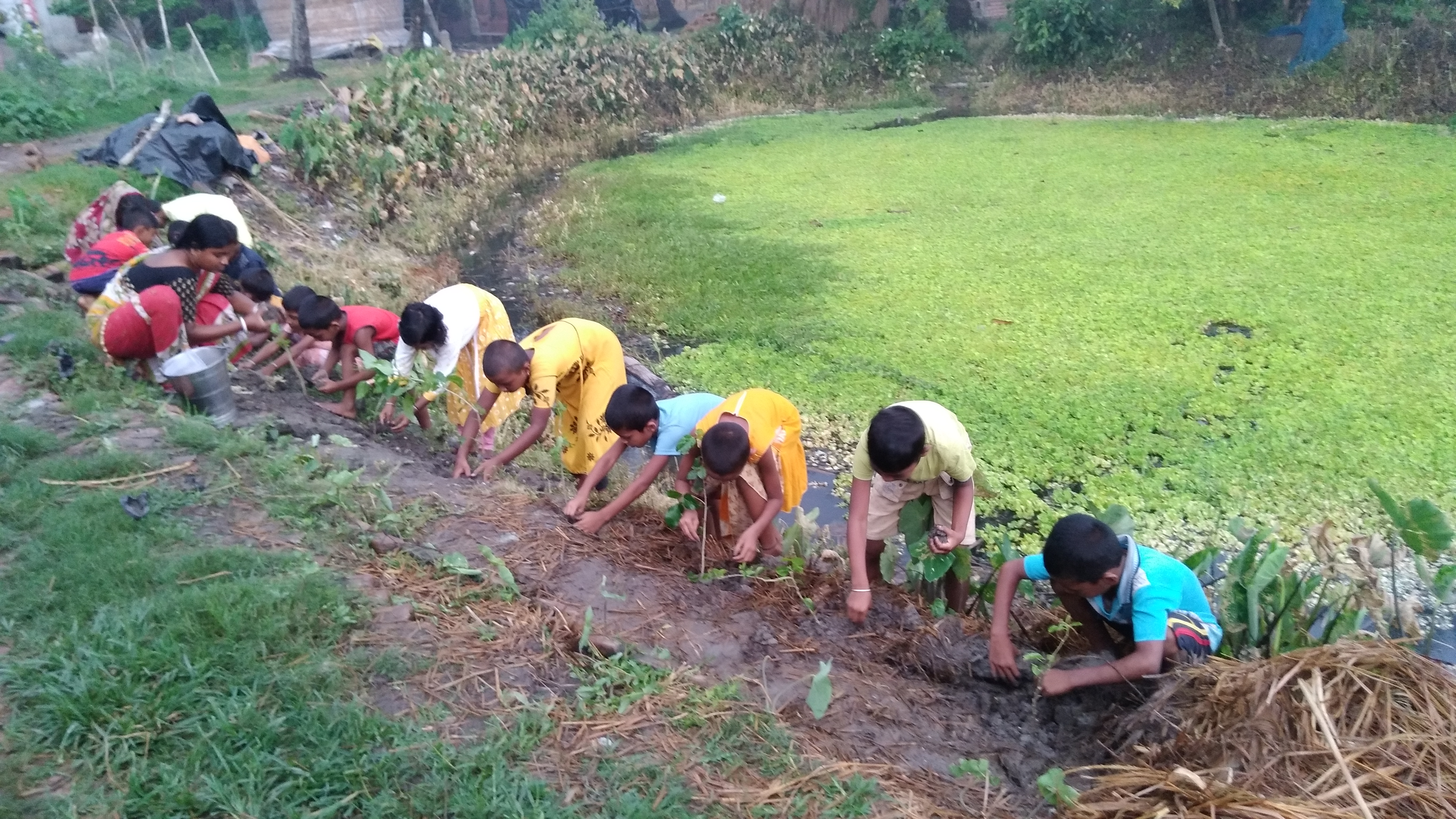 Damkal No 1 Chatterjeepara Mkss 2025 Supported By Let's Do Some Good Foundation