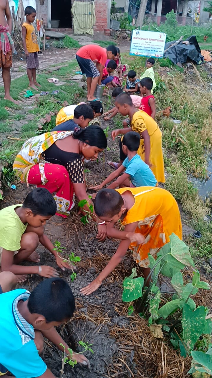 Damkal No 1 Chatterjeepara Mkss 2025 Supported By Let's Do Some Good Foundation