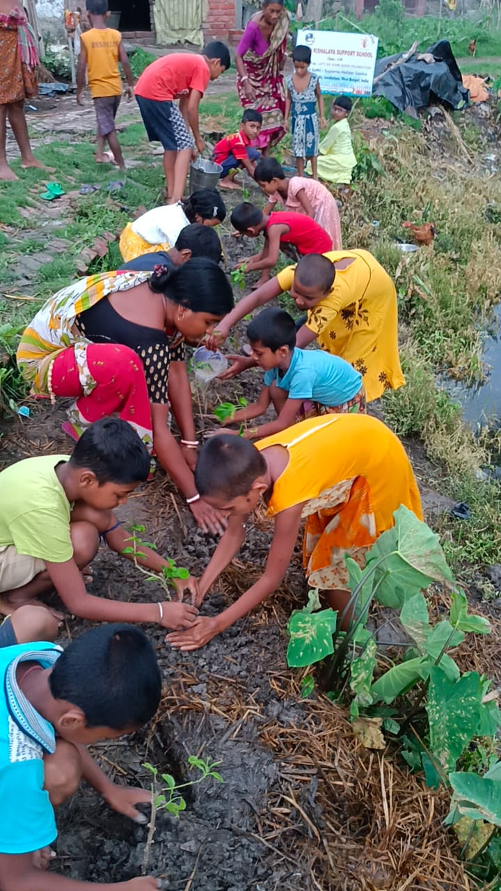 Damkal No 1 Chatterjeepara Mkss 2025 Supported By Let's Do Some Good Foundation