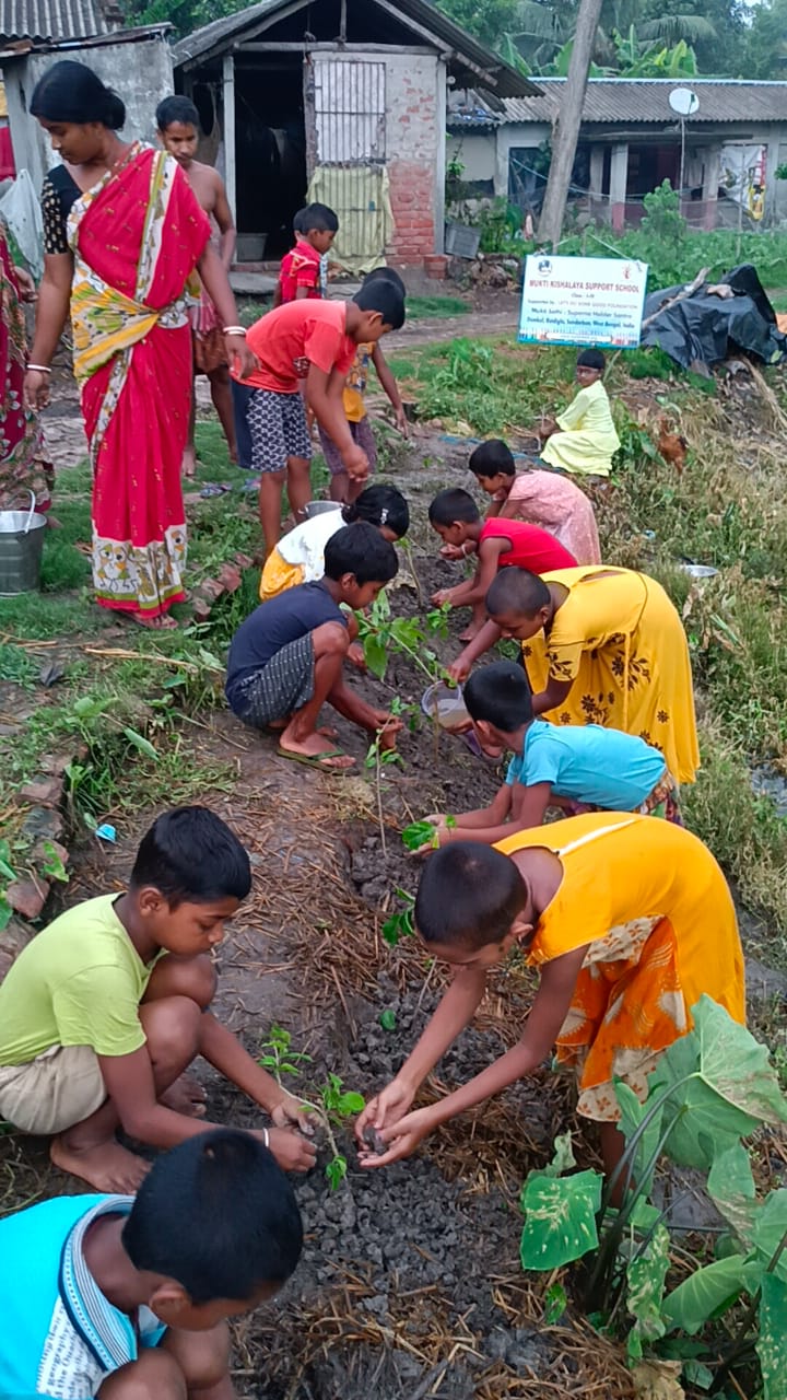 Damkal No 1 Chatterjeepara Mkss 2025 Supported By Let's Do Some Good Foundation