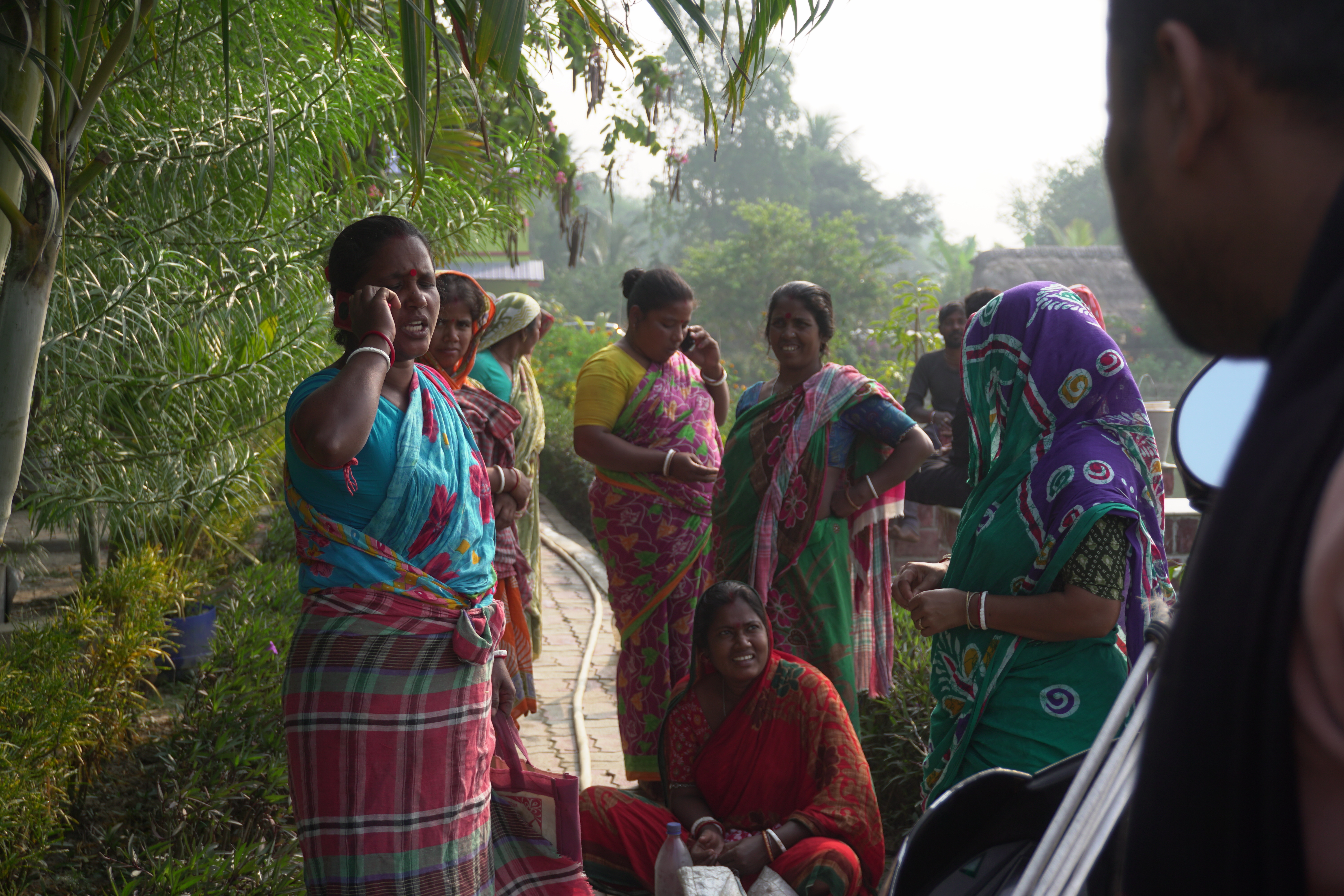 Mangrove Plantation With Support Of Hcl