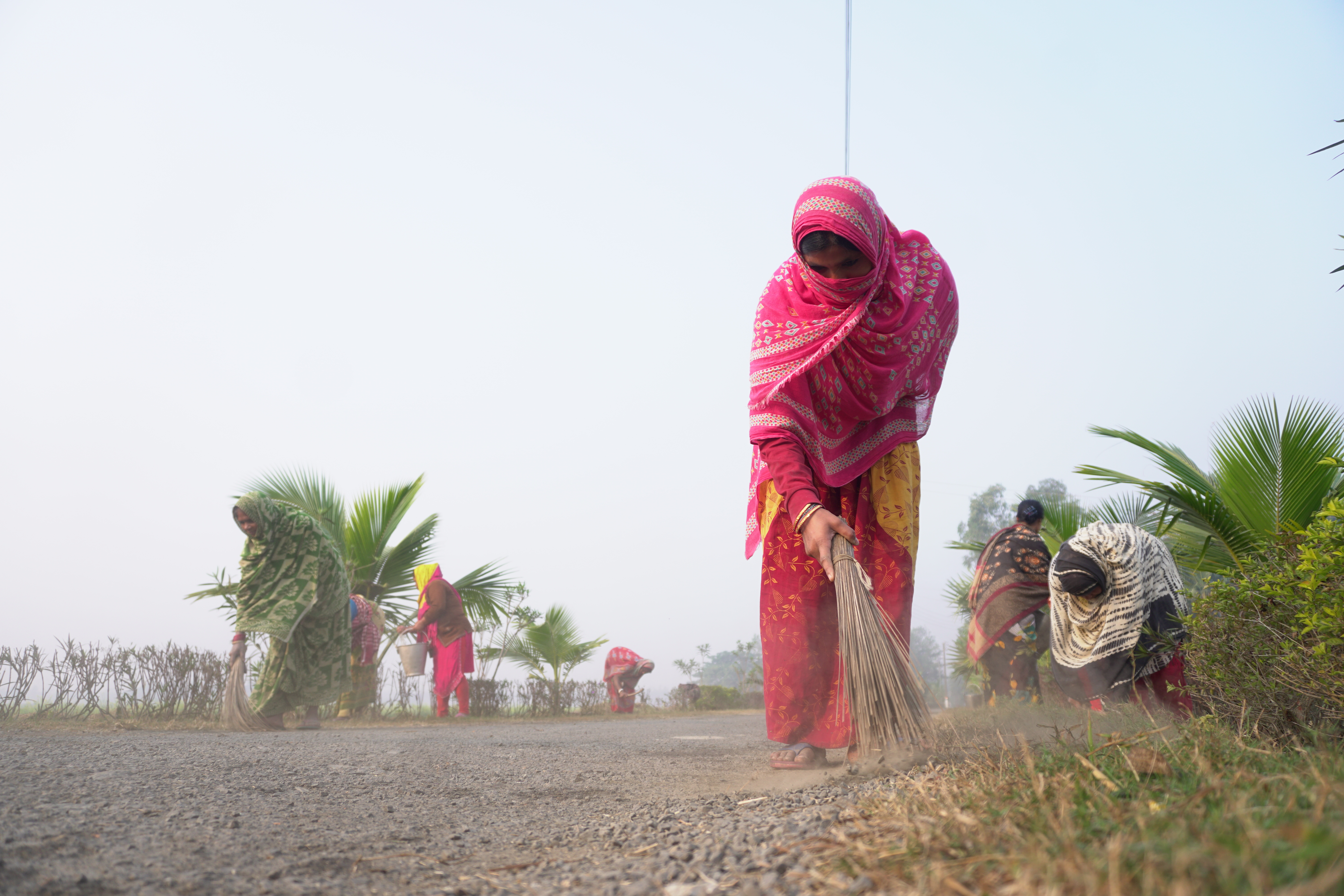 Mangrove Plantation With Support Of Hcl
