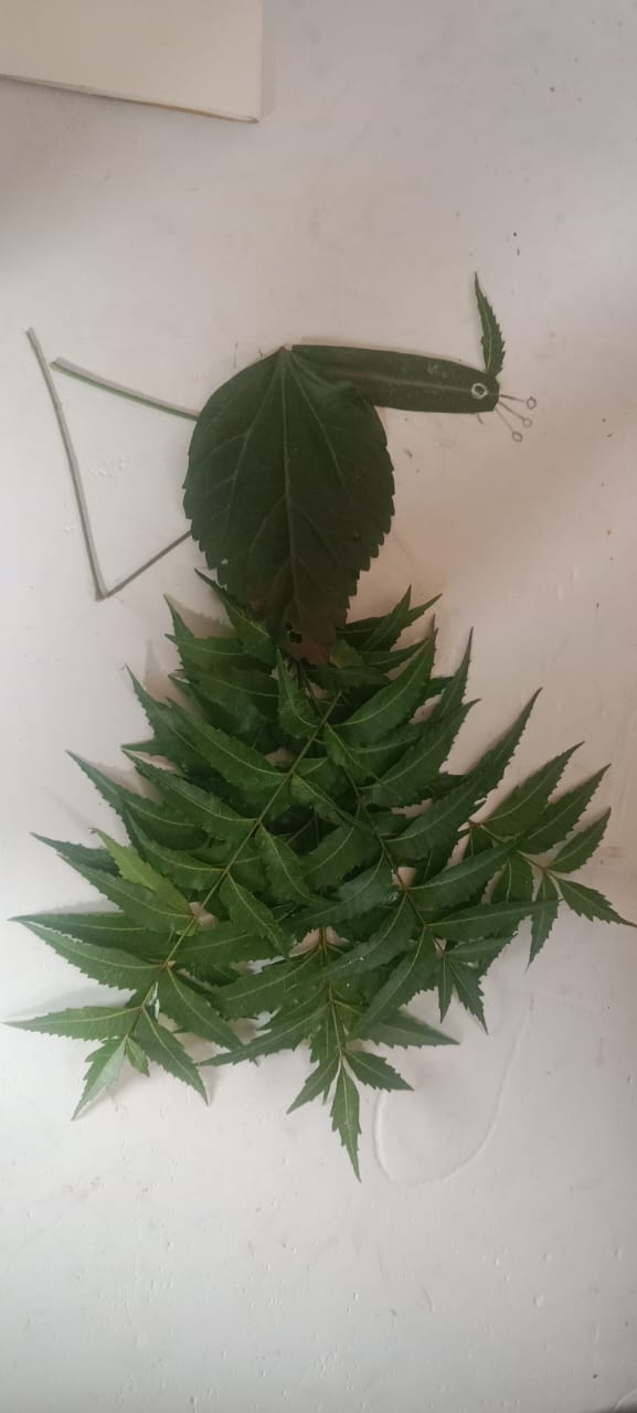 Mkss Craft & Creativity Gallery