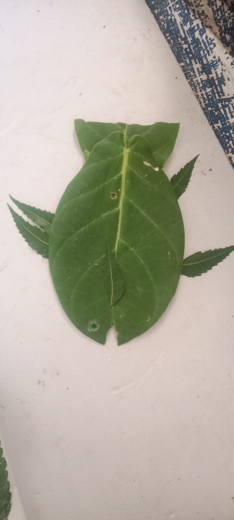 Mkss Craft & Creativity Gallery