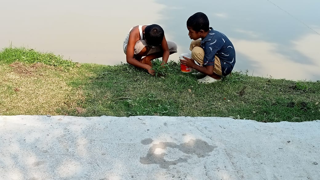 Mkss Supported By Rotary Club Of Calcutta Metro South