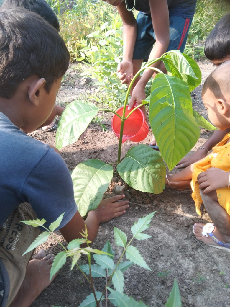 Mkss Supported By Rotary Club Of Calcutta Metro South